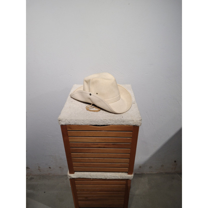 Chapeau Cowboy