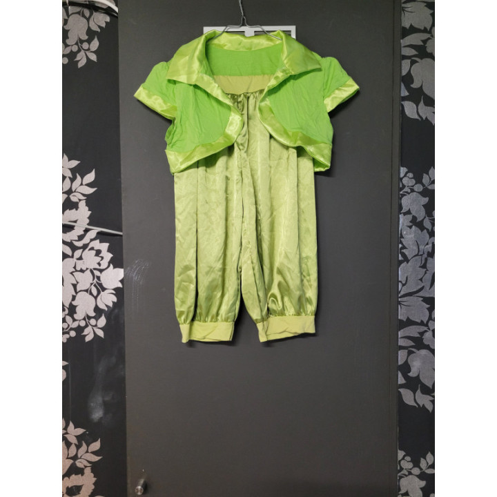 Ensemble Clown vert (+1 gilet extra)