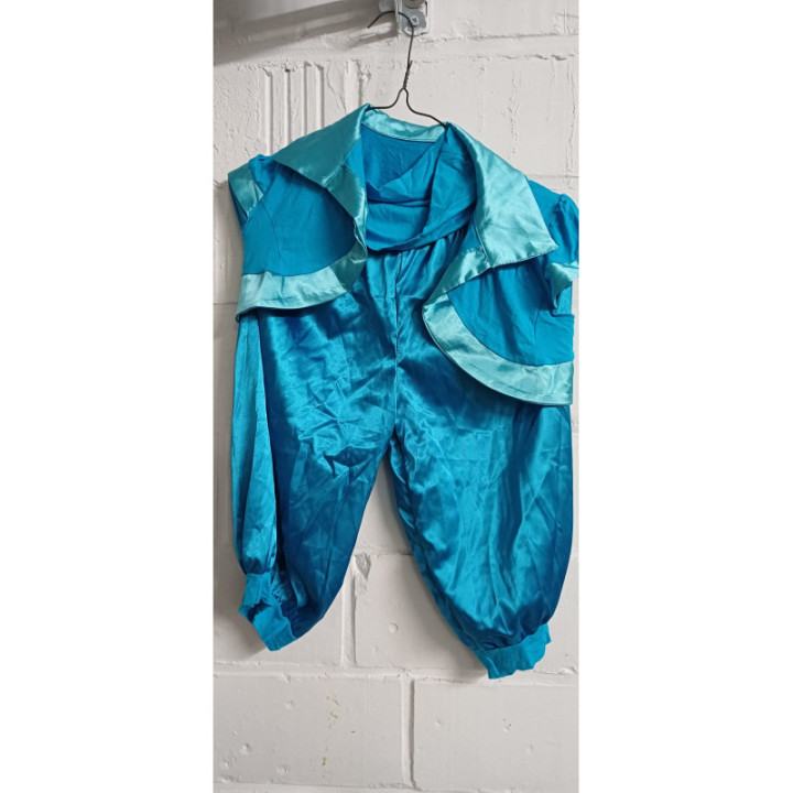 Ensemble Clown bleu (+4 gilets extra)