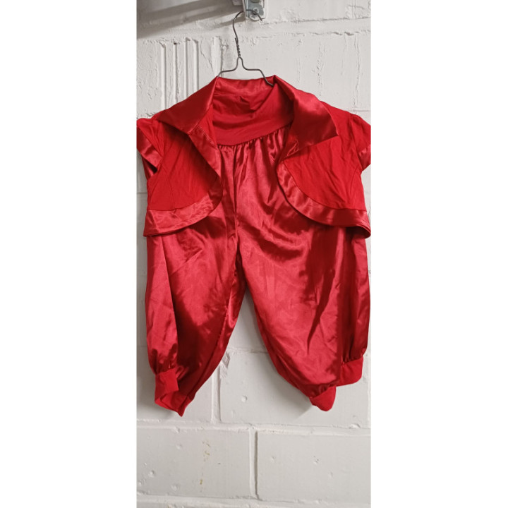 Ensemble Clown rouge (+1 gilet extra)