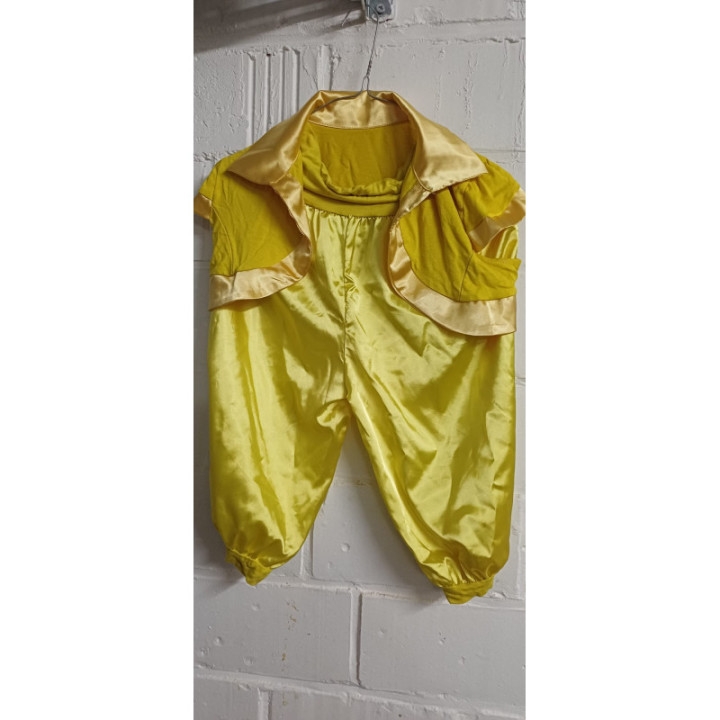 Ensemble Clown jaune (+1 gilet extra)