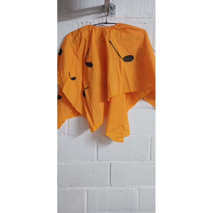 Jupe asymétrique + Notes de musique